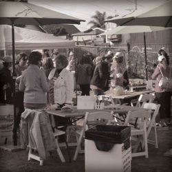 Habitat for Humanity Build Day_networking over lunch.
