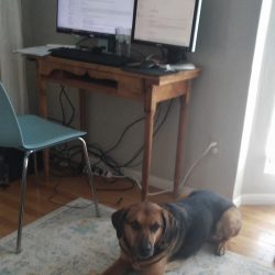 FTB team member work-from-home computer and desk arrangement #14.