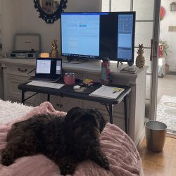 FTB team member work-from-home computer and desk arrangement #5.
